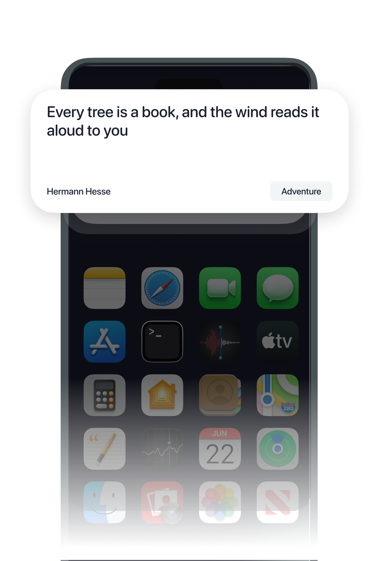 Home Screen Widget